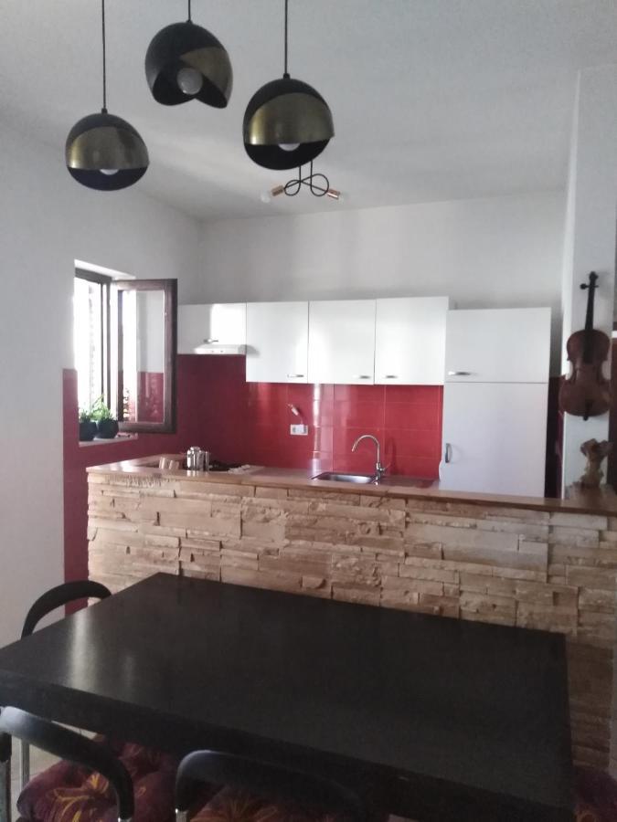 Apartman Irena With Terase End Private Parking Donji Okrug  Exterior photo